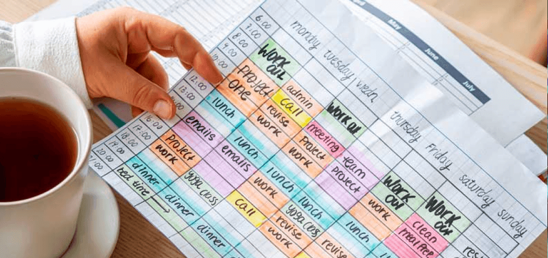 Imagem do material: Calendário de estudos